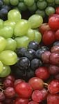 pic for Colorful Grapes 